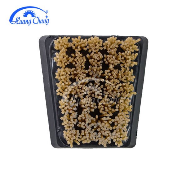 fabricant de brosses en diamant dupont de francfort